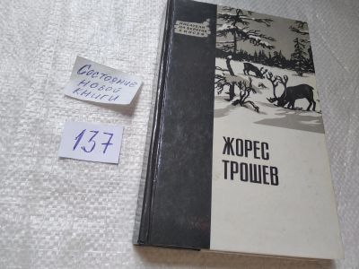 Лот: 19338927. Фото: 1. Жорес Трошев, Большой Ошар. В... Художественная