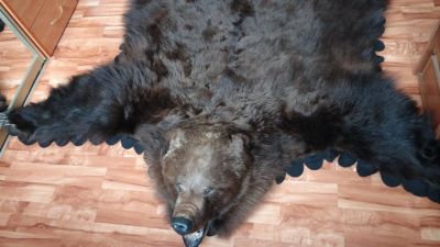Лот: 15640435. Фото: 1. Натуральный ковер из шкуры бурого... Чучела животных, рога, шкуры