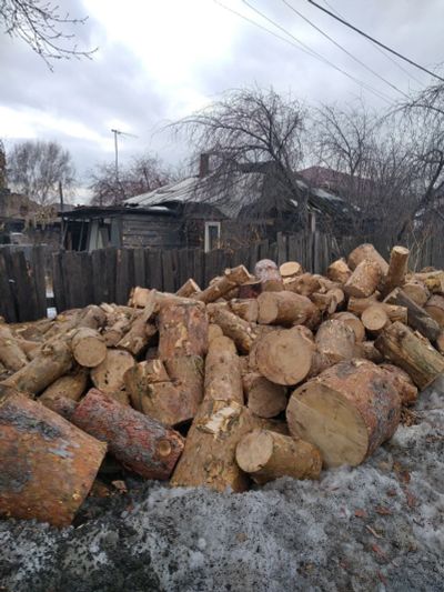 Лот: 17407615. Фото: 1. Дрова сосновые. Другие (дрова, топливо)