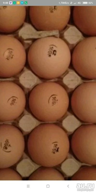 Лот: 11004084. Фото: 1. Яйцо бройлера инкубационое. Птицы
