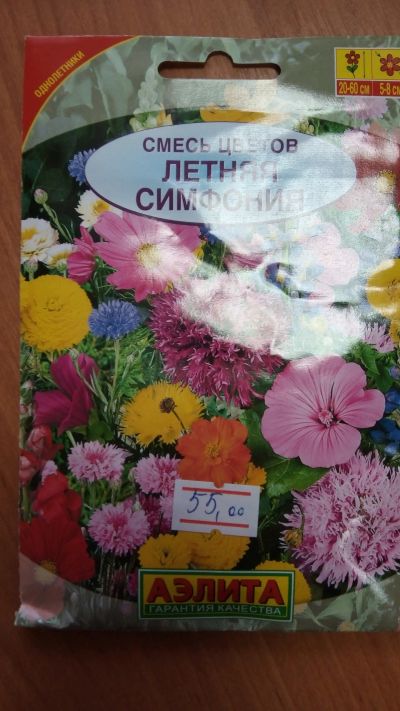 Лот: 15536323. Фото: 1. Летняя симфония. Садовые цветы