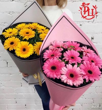 Лот: 13426490. Фото: 1. Лот № 62 Букет из 9 гербер - 1650р... Свежие цветы