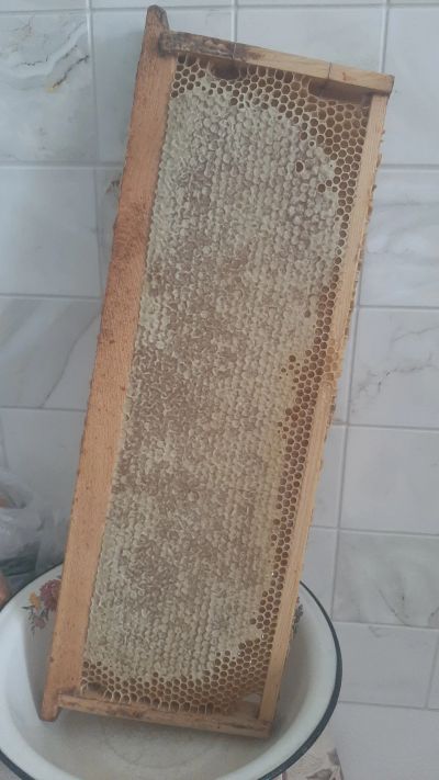 Лот: 20713522. Фото: 1. Мед со своей пасеки !🍯Настоящий. Мёд, продукты пчеловодства