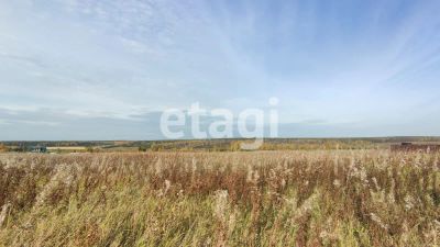 Лот: 25299334. Фото: 1. участок , село Устюг село Устюг... Земельные участки