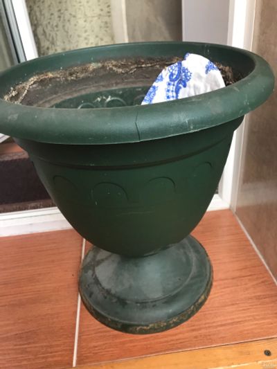 Лот: 13673337. Фото: 1. Горшок для цветов. Кашпо, горшки, вазоны для цветов