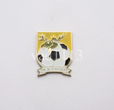 Лот: 11845377. Фото: 1. Футбол - ФК Гусев Калининградская... Сувенирные