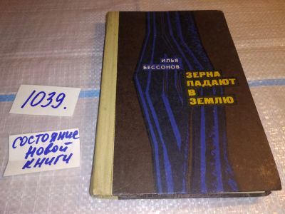 Лот: 18680090. Фото: 1. Бессонов Илья. Зерна падают в... Художественная
