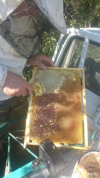 Лот: 8578536. Фото: 1. Мёд в сотах последние 2 рамки. Мёд, продукты пчеловодства