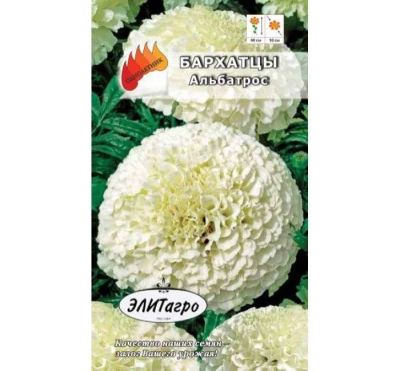 Лот: 11024216. Фото: 1. Бархатцы Альбатрос прямостоячие... Садовые цветы