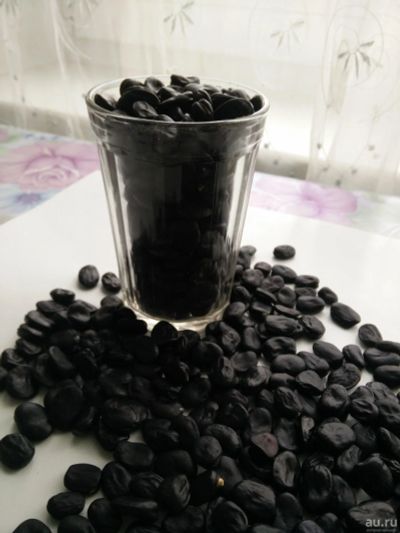 Лот: 10552509. Фото: 1. бобы черные вес 680 грамм урожай... Другое (семена, рассада, садовые растения)