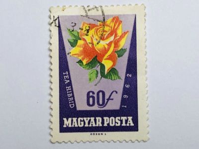 Лот: 23316407. Фото: 1. Цветы. Розы. 60 филлеров. Флора... Марки