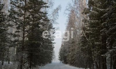 Лот: 25298171. Фото: 1. участок , деревня Мужичкино Дивная... Земельные участки