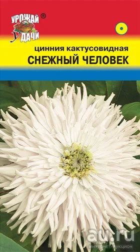 Лот: 12985197. Фото: 1. Семена циннии кактусовидной "Снежный... Садовые цветы