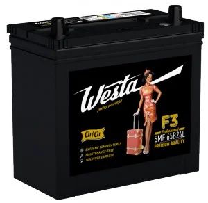 Лот: 4692821. Фото: 1. Аккумулятор Westa 65B24R 480A. Аккумуляторы