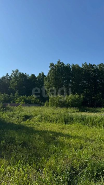 Лот: 25552926. Фото: 1. участок , садоводческое некоммерческое... Земельные участки