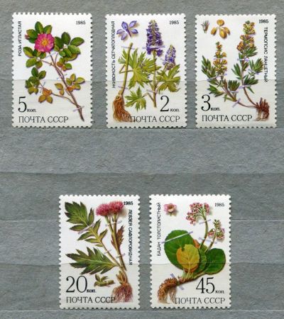 Лот: 6811874. Фото: 1. 1985 СССР Лекарственные растения... Марки