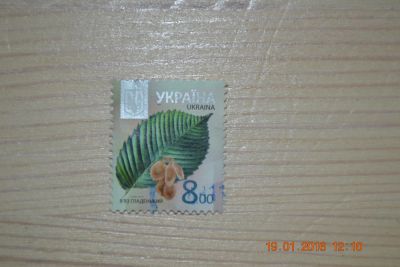 Лот: 6776351. Фото: 1. Марка Украины для коллекции. Вяз. Марки