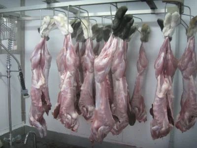 Лот: 4475680. Фото: 1. Мясо кролика домашнее свежее. Мясо, птица, яйцо