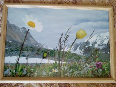Лот: 15518198. Фото: 1. постер фото в рамке Весна в горах. Произведения