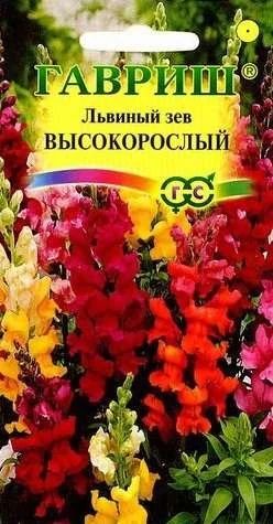 Лот: 11024373. Фото: 1. Львиный зев высокорослый*, смесь... Садовые цветы