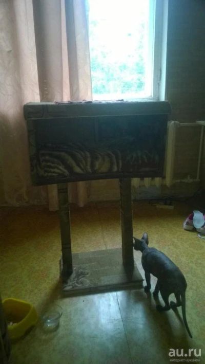 Лот: 8171218. Фото: 1. продам домик для кота или кошки. Домики, переноски, клетки, когтеточки