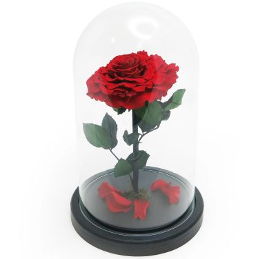 Лот: 12821173. Фото: 1. Долговечная живая роза в колбе... Подарки на 8 марта