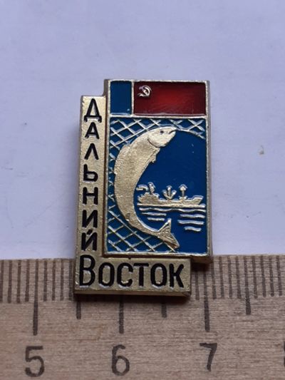 Лот: 19219176. Фото: 1. (№11248) значки ,Дальний восток. Памятные медали
