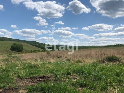 Лот: 22462868. Фото: 1. Продам участок 1600 сот. Иркутское... Земельные участки