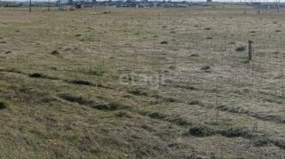 Лот: 25296543. Фото: 1. участок , СНТ Дружба СНТ Дружба... Земельные участки