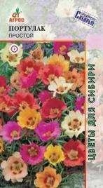 Лот: 11025468. Фото: 1. Портулак Простой 0.1г (смесь... Садовые цветы