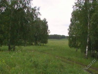 Лот: 2121818. Фото: 1. продам участок Арей. Земельные участки