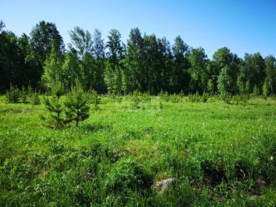 Лот: 25296713. Фото: 1. участок , посёлок Родниковый посёлок... Земельные участки