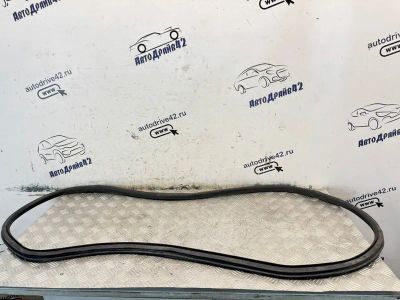 Лот: 25558479. Фото: 1. уплотнитель проема двери Opel... Кузов