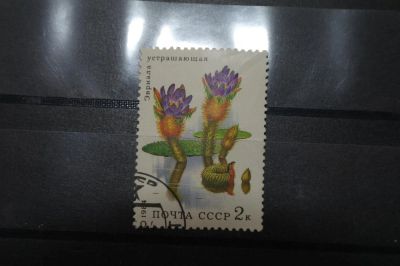 Лот: 3961980. Фото: 1. марка 60 СССР 1984 эвриала устрашающая... Марки