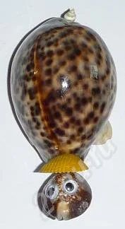 Лот: 537123. Фото: 1. Черепашка из тигриса в шляпке... Другое (сувениры, подарки)