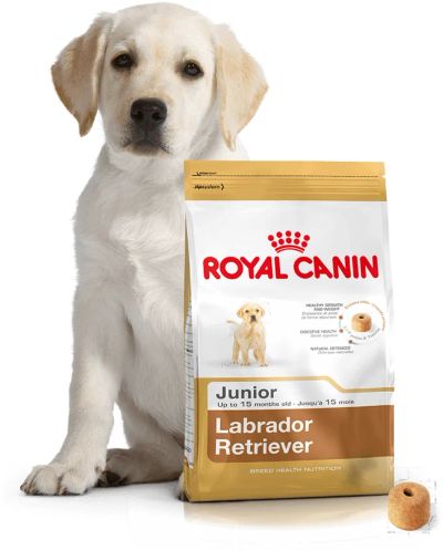 Лот: 6801726. Фото: 1. ROYAL CANIN (РОЯЛ КАНИН) Labrador... Корма