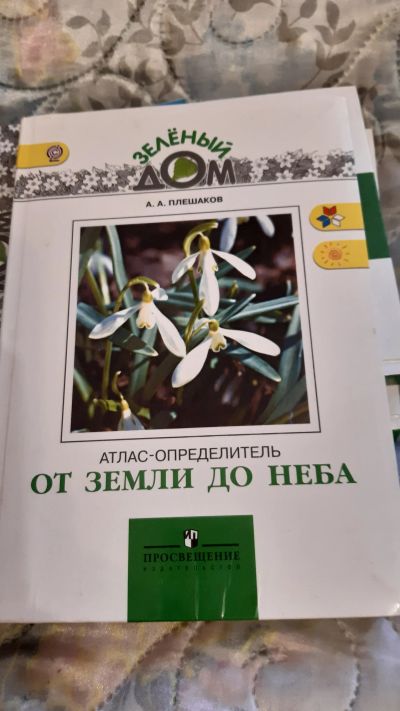 Лот: 18374778. Фото: 1. Книгу. Книги для родителей