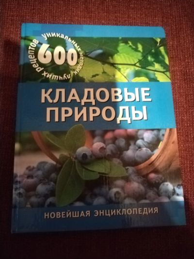 Лот: 25077553. Фото: 1. Книга Кладовые природы. Популярная и народная медицина