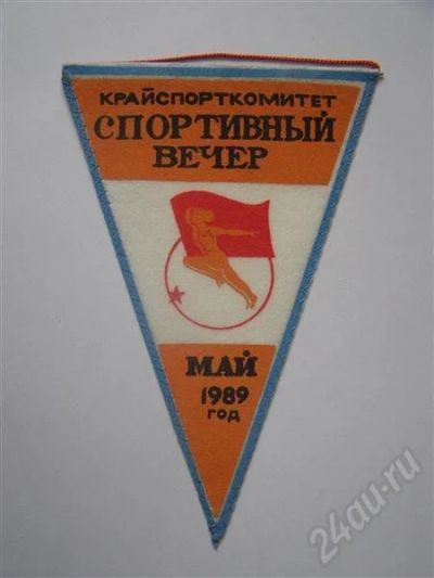 Лот: 532478. Фото: 1. вымпел крайспорткомитет. спортивный... Другое (коллекционирование, моделизм)