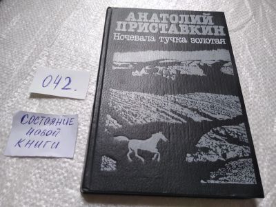 Лот: 19311488. Фото: 1. Приставкин Анатолий Ночевала тучка... Художественная