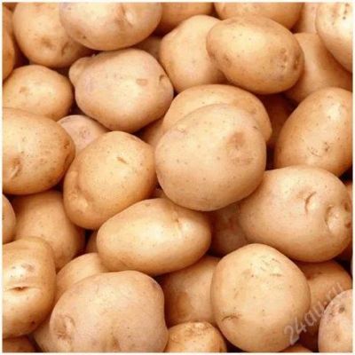 Лот: 1452541. Фото: 1. картошка картофель. Картофель