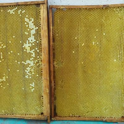 Лот: 17365881. Фото: 1. Куплю сушь рамки пчеловодства. Другое (картины, панно)