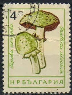 Лот: 19838409. Фото: 1. 1961. Болгария. Грибы. н.с... Марки