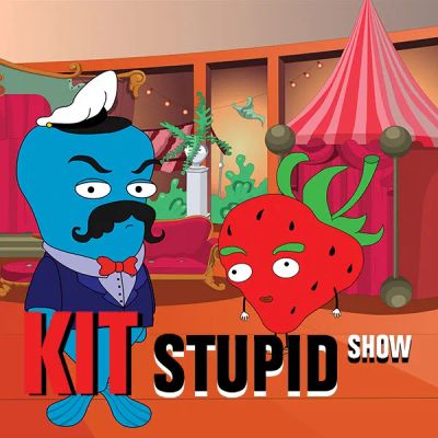 Лот: 24291958. Фото: 1. Кит stupid show. Видеозаписи, фильмы