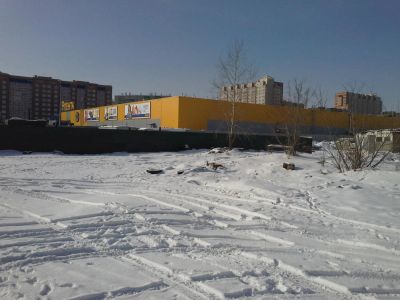 Лот: 7062665. Фото: 1. Продам ООО с землей в городе... Земельные участки