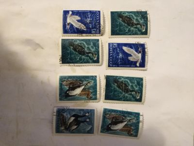 Лот: 19821564. Фото: 1. Марки. Марки