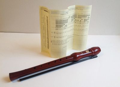 Лот: 6188780. Фото: 1. Блокфлейта Hohner. Духовые