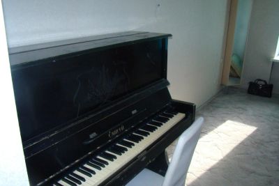 Лот: 4418973. Фото: 1. Пианино "Енисей". Клавишные