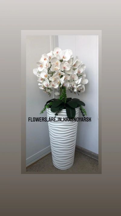 Лот: 18010177. Фото: 1. Орхидеи для интерьера в большой... Другое (предметы интерьера)