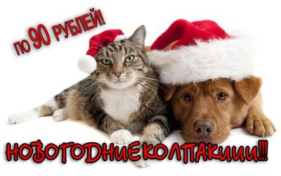 Лот: 3421635. Фото: 1. Новогодние Колпаки по 90 рублей... Взрослые карнавальные костюмы